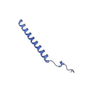 11810_7ak5_c_v1-1
Cryo-EM structure of respiratory complex I in the deactive state from Mus musculus at 3.2 A