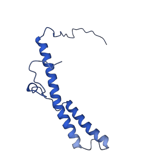 11810_7ak5_d_v1-1
Cryo-EM structure of respiratory complex I in the deactive state from Mus musculus at 3.2 A