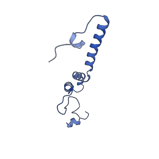 11810_7ak5_e_v1-1
Cryo-EM structure of respiratory complex I in the deactive state from Mus musculus at 3.2 A