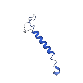 11810_7ak5_f_v1-1
Cryo-EM structure of respiratory complex I in the deactive state from Mus musculus at 3.2 A