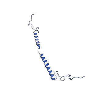 11810_7ak5_g_v1-1
Cryo-EM structure of respiratory complex I in the deactive state from Mus musculus at 3.2 A