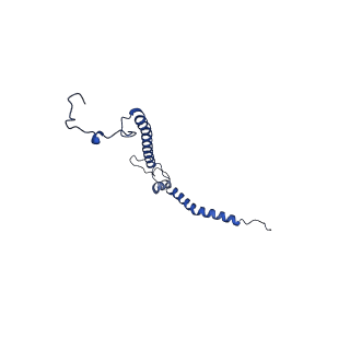 11810_7ak5_h_v1-1
Cryo-EM structure of respiratory complex I in the deactive state from Mus musculus at 3.2 A
