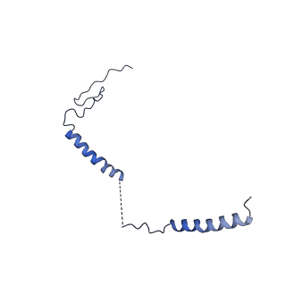 11810_7ak5_i_v1-1
Cryo-EM structure of respiratory complex I in the deactive state from Mus musculus at 3.2 A