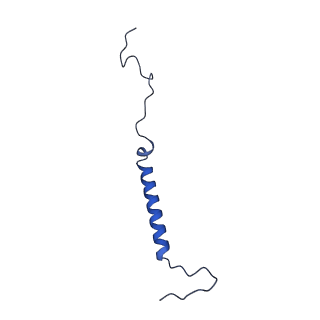 11810_7ak5_j_v1-1
Cryo-EM structure of respiratory complex I in the deactive state from Mus musculus at 3.2 A