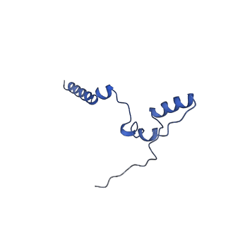 11810_7ak5_k_v1-1
Cryo-EM structure of respiratory complex I in the deactive state from Mus musculus at 3.2 A