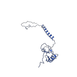 11810_7ak5_l_v1-1
Cryo-EM structure of respiratory complex I in the deactive state from Mus musculus at 3.2 A