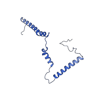 11810_7ak5_m_v1-1
Cryo-EM structure of respiratory complex I in the deactive state from Mus musculus at 3.2 A