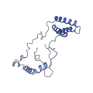 11810_7ak5_n_v1-1
Cryo-EM structure of respiratory complex I in the deactive state from Mus musculus at 3.2 A