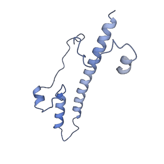 11810_7ak5_o_v1-1
Cryo-EM structure of respiratory complex I in the deactive state from Mus musculus at 3.2 A
