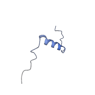 11810_7ak5_s_v1-1
Cryo-EM structure of respiratory complex I in the deactive state from Mus musculus at 3.2 A