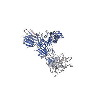 11812_7akd_A_v1-1
Structure of the SARS-CoV-2 spike glycoprotein in complex with the 47D11 neutralizing antibody Fab fragment