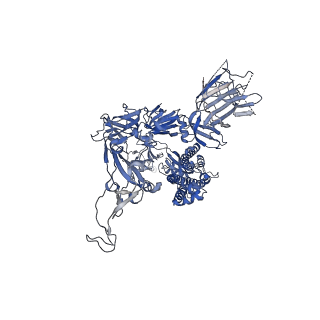 11812_7akd_C_v1-1
Structure of the SARS-CoV-2 spike glycoprotein in complex with the 47D11 neutralizing antibody Fab fragment