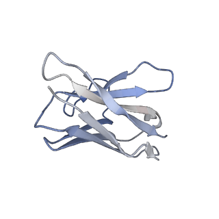 11812_7akd_L_v1-1
Structure of the SARS-CoV-2 spike glycoprotein in complex with the 47D11 neutralizing antibody Fab fragment