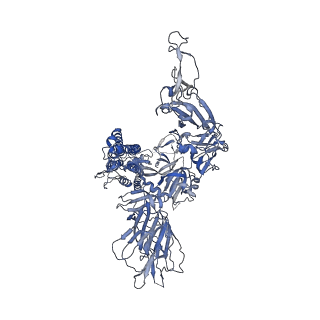 11813_7akj_A_v1-1
Structure of the SARS-CoV spike glycoprotein in complex with the 47D11 neutralizing antibody Fab fragment