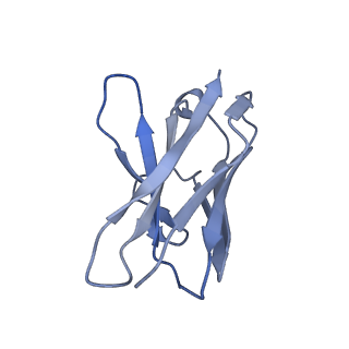 11813_7akj_D_v1-1
Structure of the SARS-CoV spike glycoprotein in complex with the 47D11 neutralizing antibody Fab fragment