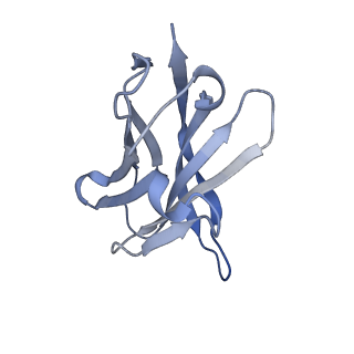 11813_7akj_E_v1-1
Structure of the SARS-CoV spike glycoprotein in complex with the 47D11 neutralizing antibody Fab fragment