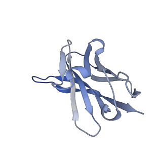 11813_7akj_H_v1-1
Structure of the SARS-CoV spike glycoprotein in complex with the 47D11 neutralizing antibody Fab fragment