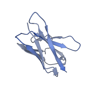 11813_7akj_L_v1-1
Structure of the SARS-CoV spike glycoprotein in complex with the 47D11 neutralizing antibody Fab fragment