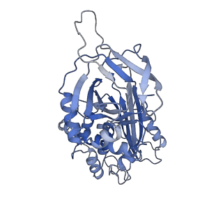 11814_7akv_A_v1-0
The cryo-EM structure of the Vag8-C1 inhibitor complex