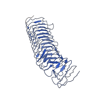 11814_7akv_G_v1-0
The cryo-EM structure of the Vag8-C1 inhibitor complex