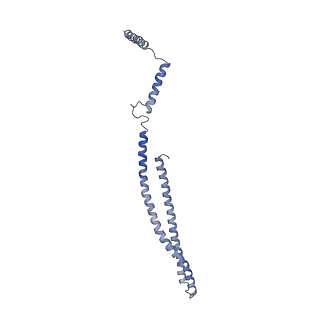 15489_8akq_5_v1-0
180 A SynPspA rod after incubation with ATP