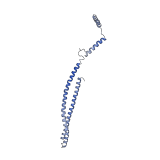 15489_8akq_H_v1-0
180 A SynPspA rod after incubation with ATP