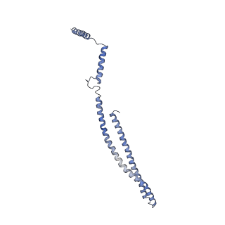 15489_8akq_J_v1-0
180 A SynPspA rod after incubation with ATP