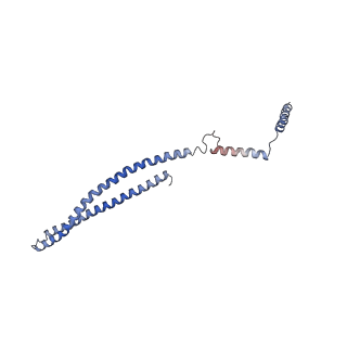 15489_8akq_O_v1-0
180 A SynPspA rod after incubation with ATP