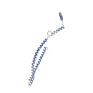 15489_8akq_Q_v1-0
180 A SynPspA rod after incubation with ATP