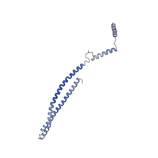 15489_8akq_Z_v1-0
180 A SynPspA rod after incubation with ATP