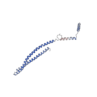 15489_8akq_r_v1-0
180 A SynPspA rod after incubation with ATP