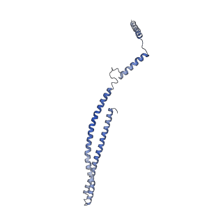 15489_8akq_t_v1-0
180 A SynPspA rod after incubation with ATP