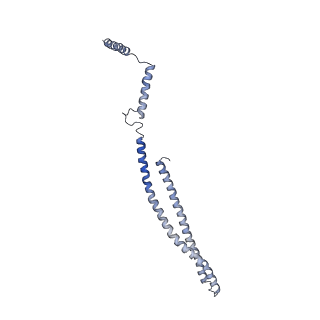 15489_8akq_w_v1-0
180 A SynPspA rod after incubation with ATP