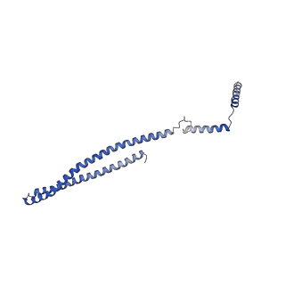 15491_8aks_D_v1-0
215 A SynPspA rod after incubation with ATP