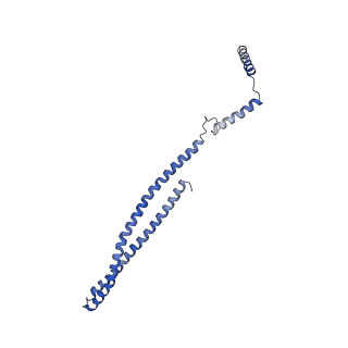 15491_8aks_G_v1-0
215 A SynPspA rod after incubation with ATP