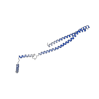 15491_8aks_V_v1-0
215 A SynPspA rod after incubation with ATP