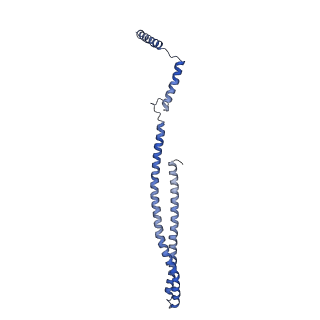 15491_8aks_t_v1-0
215 A SynPspA rod after incubation with ATP