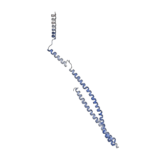 15492_8akt_5_v1-0
235 A SynPspA rod after incubation with ATP