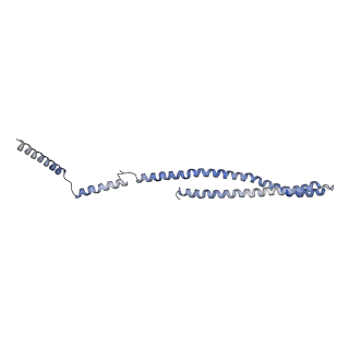 15492_8akt_7_v1-0
235 A SynPspA rod after incubation with ATP