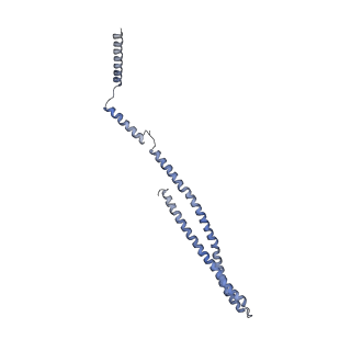 15492_8akt_u_v1-0
235 A SynPspA rod after incubation with ATP