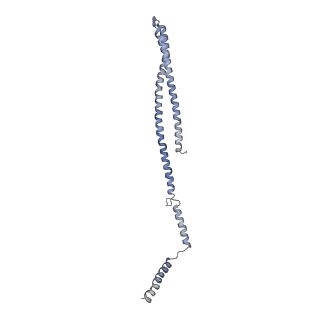 15493_8aku_D_v1-0
250 A SynPspA rod after incubation with ATP