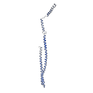 15493_8aku_S_v1-0
250 A SynPspA rod after incubation with ATP