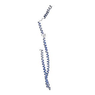 15493_8aku_f_v1-0
250 A SynPspA rod after incubation with ATP