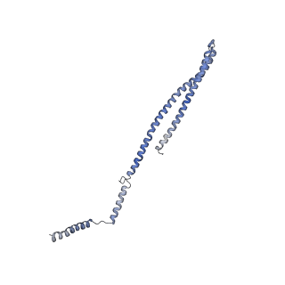 15493_8aku_l_v1-0
250 A SynPspA rod after incubation with ATP