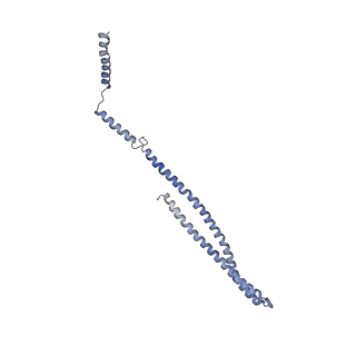 15493_8aku_o_v1-0
250 A SynPspA rod after incubation with ATP