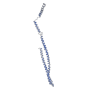 15493_8aku_s_v1-0
250 A SynPspA rod after incubation with ATP