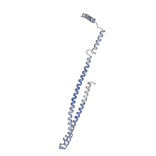 15494_8akv_7_v1-0
270 A SynPspA rod after incubation with ATP