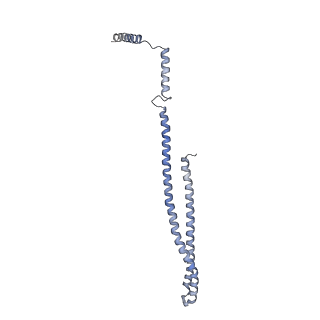 15494_8akv_f_v1-0
270 A SynPspA rod after incubation with ATP