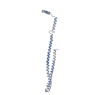 15494_8akv_t_v1-0
270 A SynPspA rod after incubation with ATP