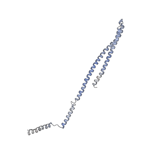 15497_8aky_R_v1-0
290 A SynPspA rod after incubation with ATP